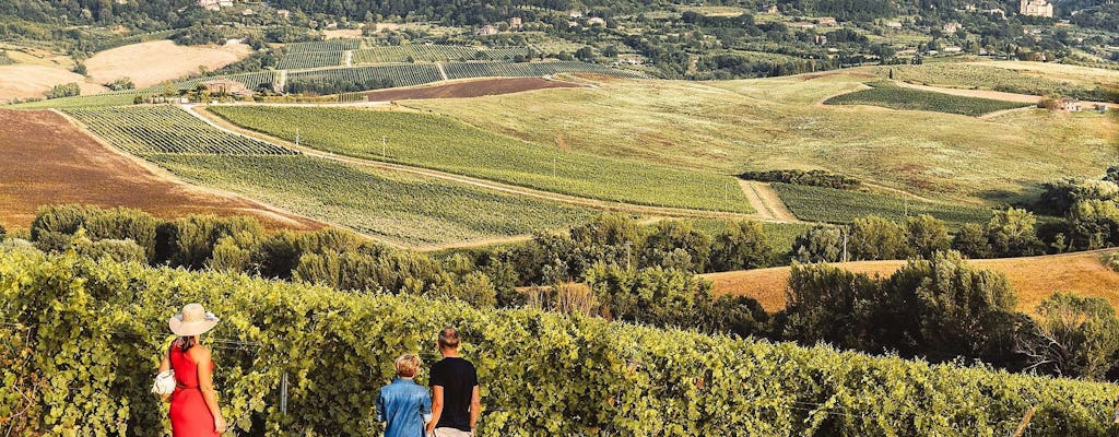 Ruta del vino Vino Nobile di Montepulciano