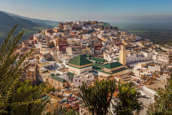Excursión de un día a Meknes y Volubilis desde Fez