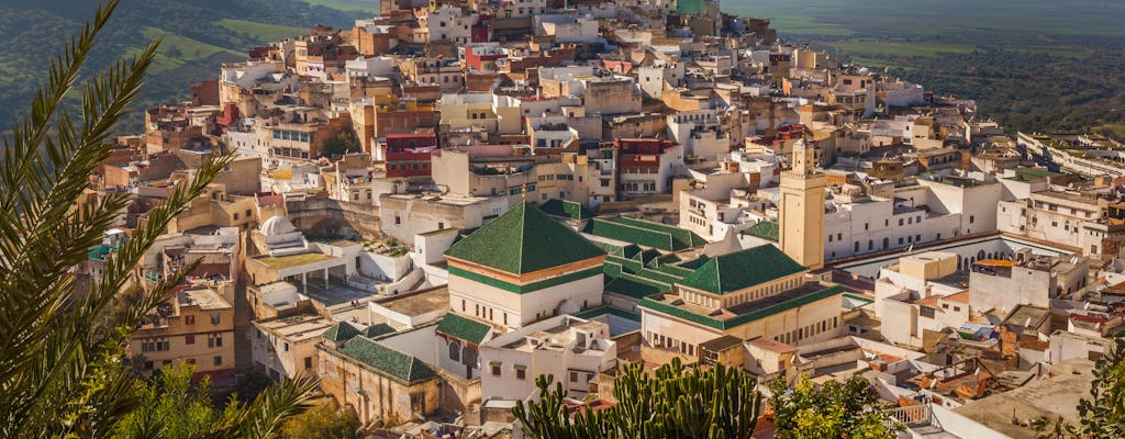 Jednodniowa wycieczka Meknes i Volubilis z Fezu