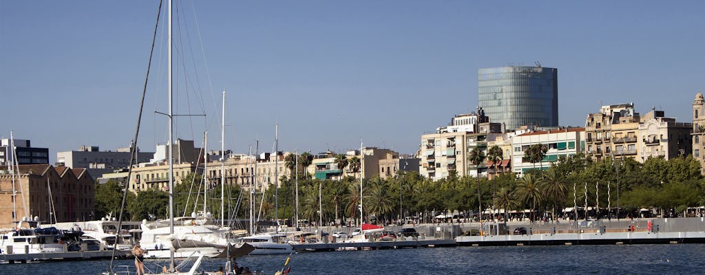 Voile de catamaran de jazz et de détente