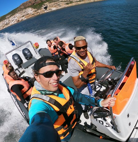 Swim with seals in Plettenberg Bay