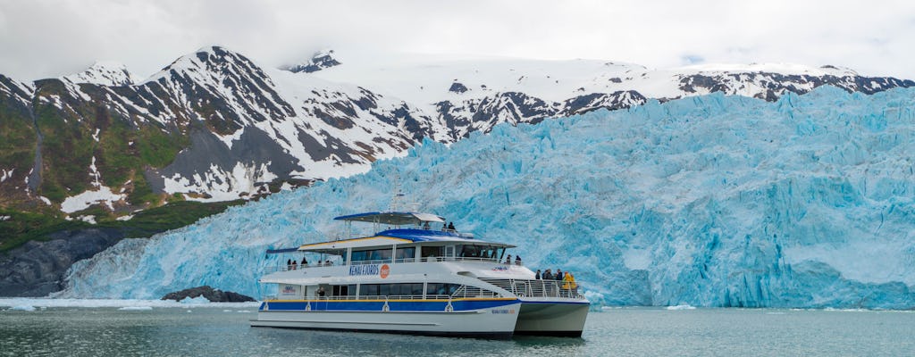 Park Narodowy Kenai Fjords Rejs na lodowiec i dziką przyrodę