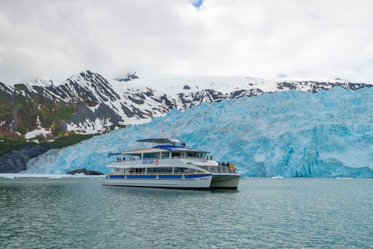 Cruzeiro na geleira e na vida selvagem do Parque Nacional Kenai Fjords