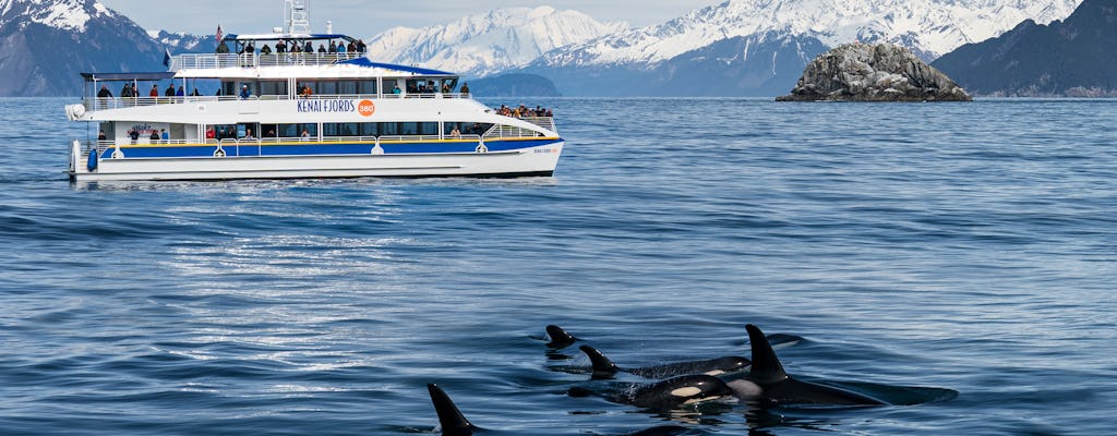 Crociera mattutina sul ghiacciaio e sulla fauna selvatica del Parco nazionale di Kenai Fjords