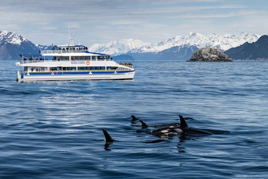 Geleira do Parque Nacional Kenai Fjords e cruzeiro matinal pela vida selvagem
