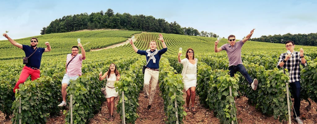 Excursion dans les vignes au Champagne Albert Beerens