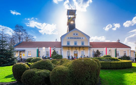 Tour di un giorno di Auschwitz-Birkenau e Miniera di sale Wieliczka