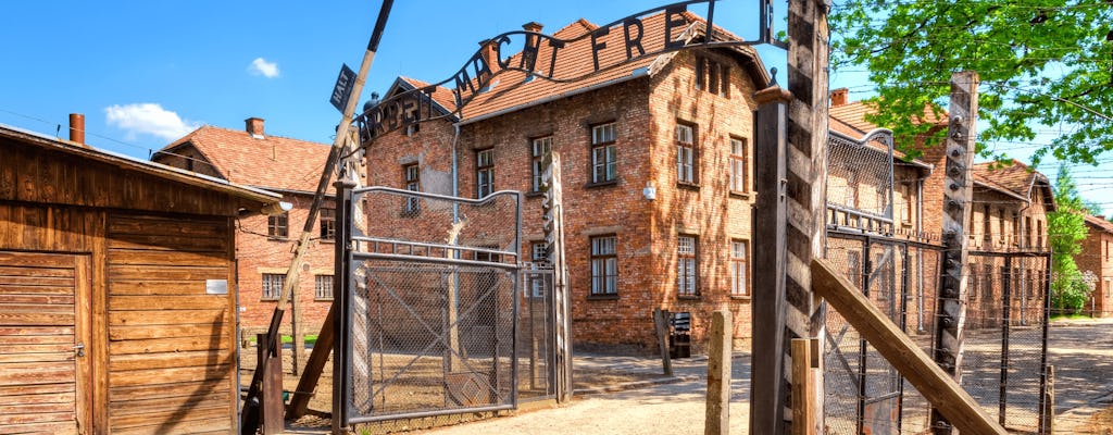 Auschwitz-Birkenau Memorial full-day guided tour from Krakow