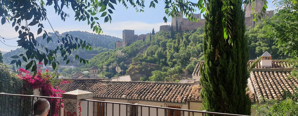 Tour a piedi di Granada e dei suoi profumi