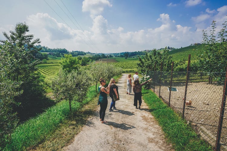 Prosecco wine tour from Venice