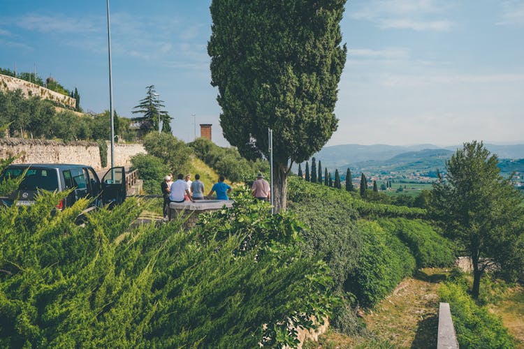 Amarone wine trail tour from Verona