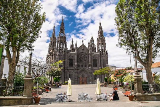 From Las Palmas: Full-day tour of northern Gran Canaria