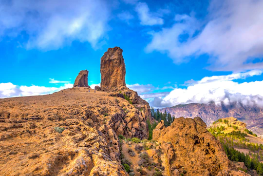 From Las Palmas: Guided tour of the Bandama Caldera and Roque Nublo