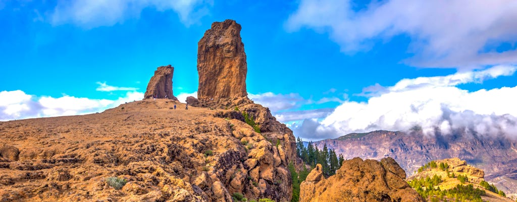 Visita guiada à Bandama Caldera e Roque Nublo