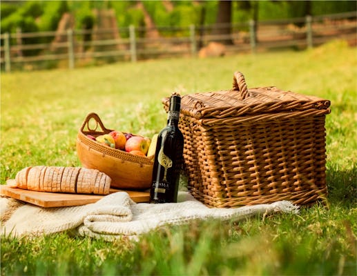 Picknick in den Weinbergen des Weinkellers von Umberto Cesari