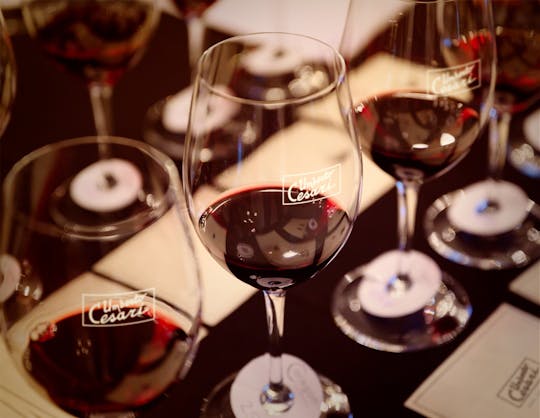 Tasting lesson at Umberto Cesari wine cellar