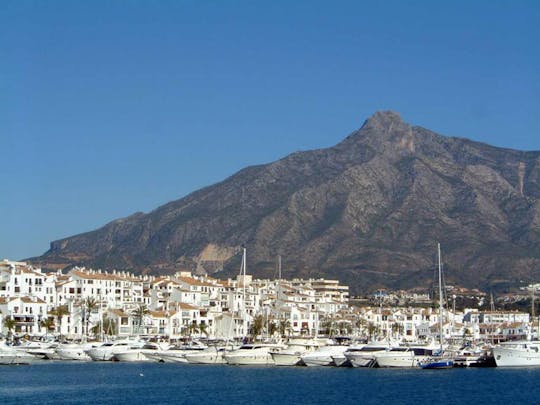 Visite de Marbella avec Puerto Banus