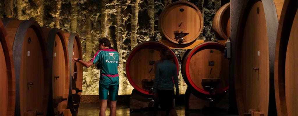 Excursão de bicicleta na região de Verona com degustação de vinhos