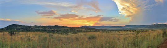 Safári no Parque Nacional de Pilanesberg saindo de Joanesburgo