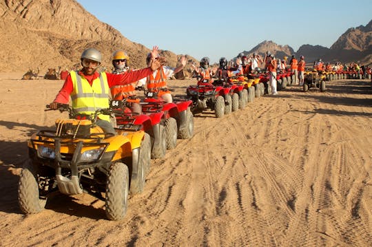 Evening quad bike adventure with Bedouin tea in Sharm El-Sheikh