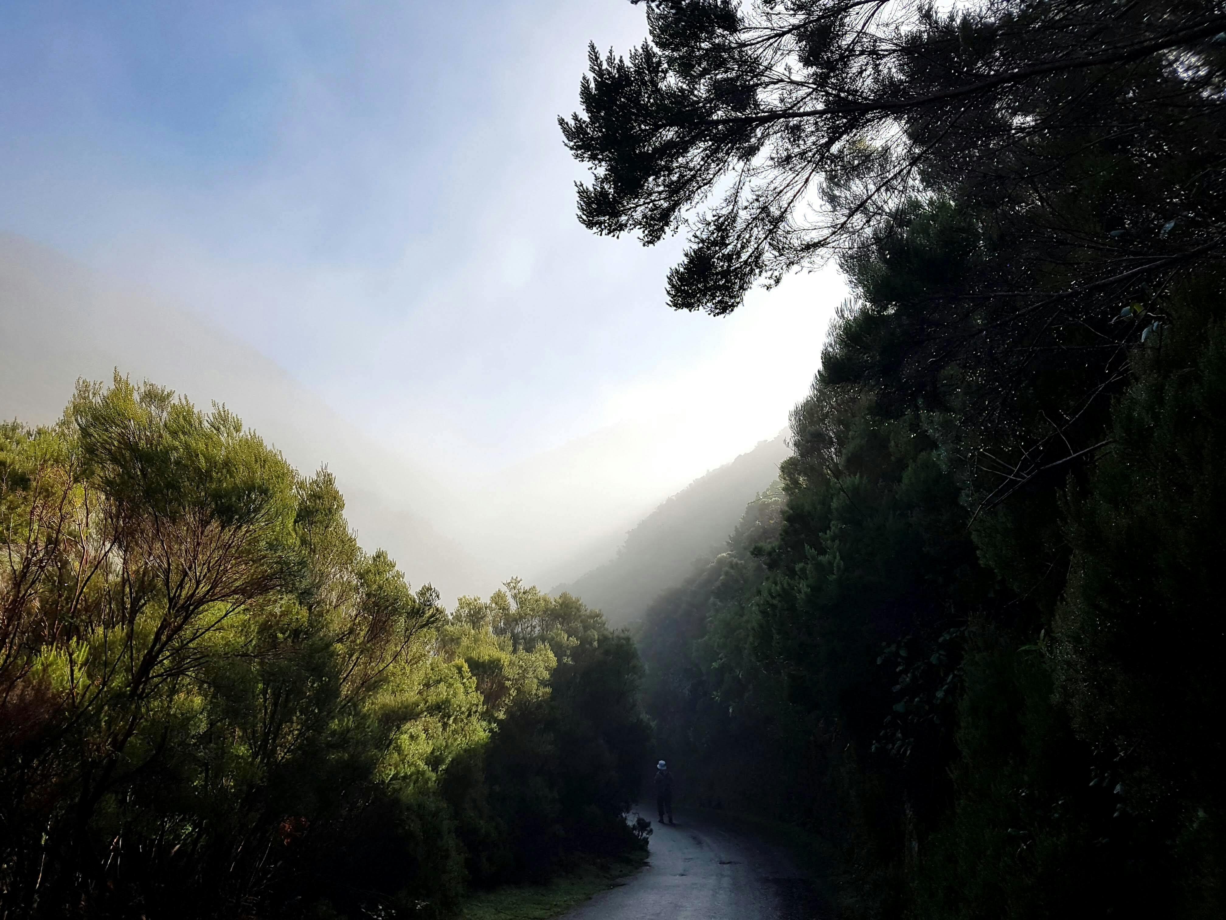 Rabaçal Valley Levada Walk