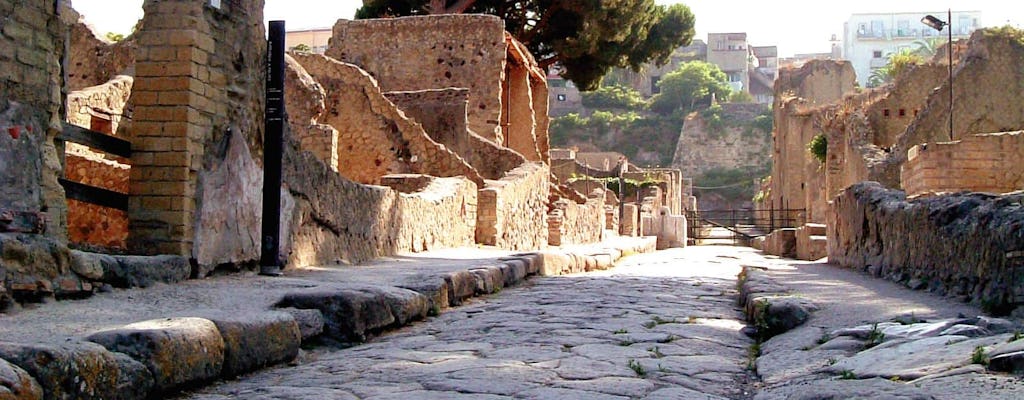 Ancient Herculaneum Tour