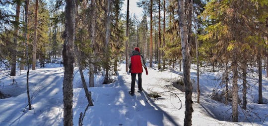 Wędrówka w rakietach śnieżnych przez szwedzką Laponię