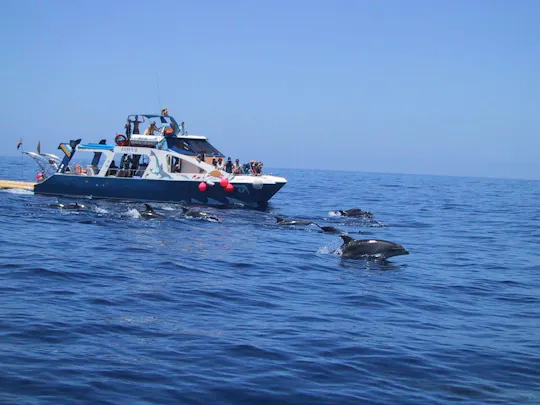 La Palma Bootstour an der Küste mit Transfer