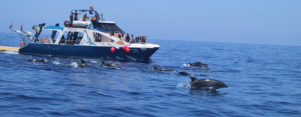La Palma Bootstour an der Küste mit Transfer