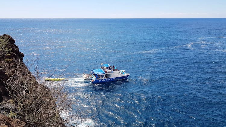 La Palma Coast Cruise with Transfer