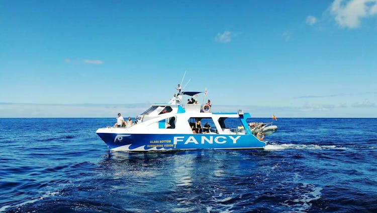 La Palma Coast Cruise with Transfer