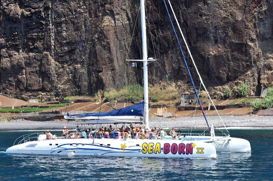 Seaborn Catamaran