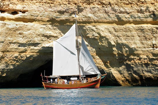 Croisière l'après-midi sur le Leãozinho avec transfert