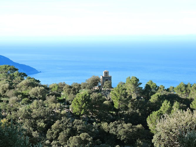 Driveando Tramuntana Hidden Places Tour