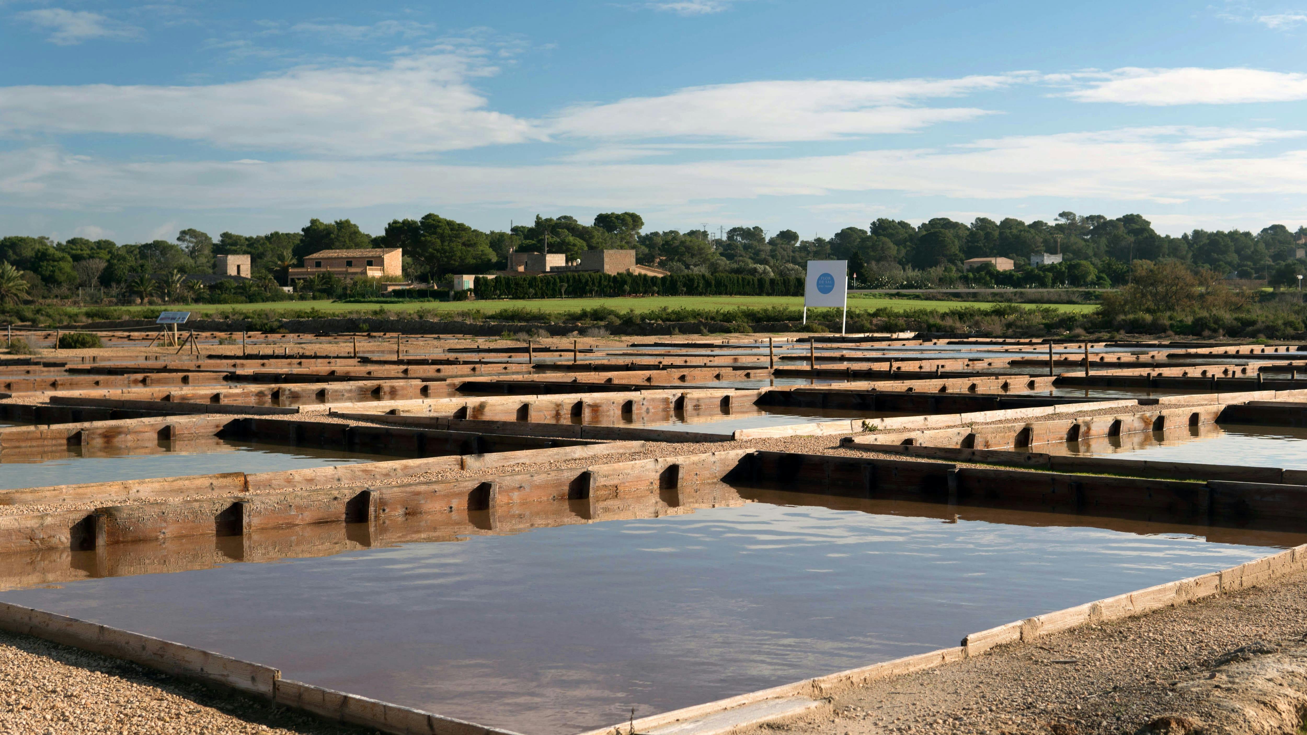 Les perles du sud en voiture avec Driveando - Majorque - avec chauffeur