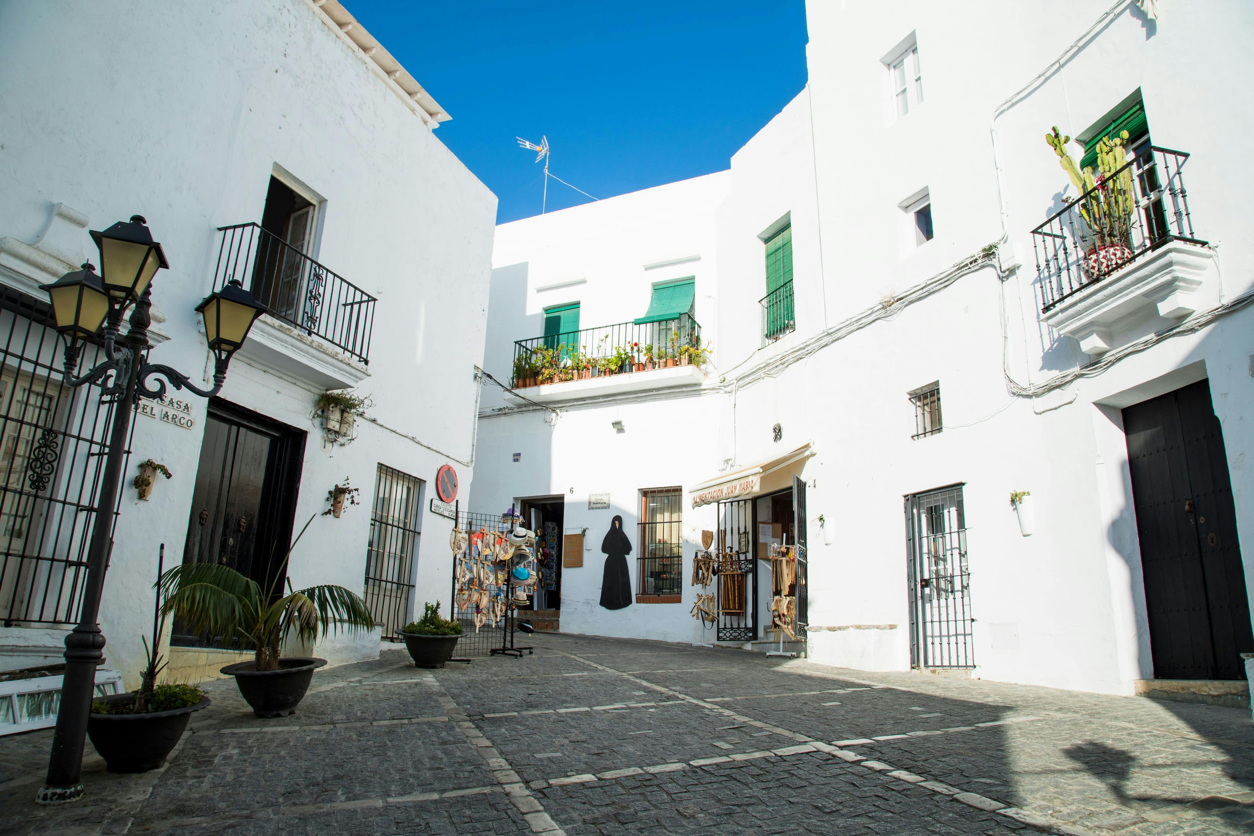 Gibraltar Dolphins & Vejer