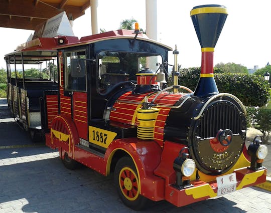 Mini-train à Sancti Petri avec excursion en bateau
