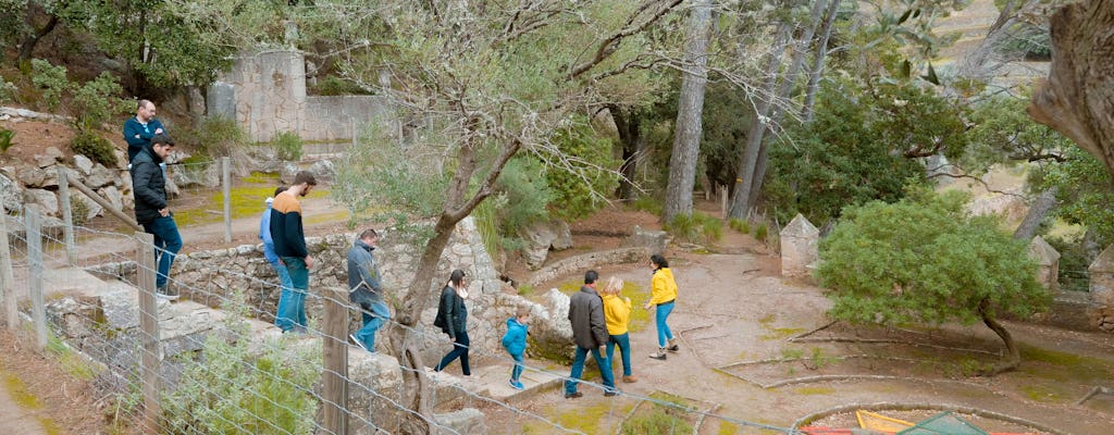 Visite des perles cachées de la Tramuntana avec Driveando - Circuit VIP