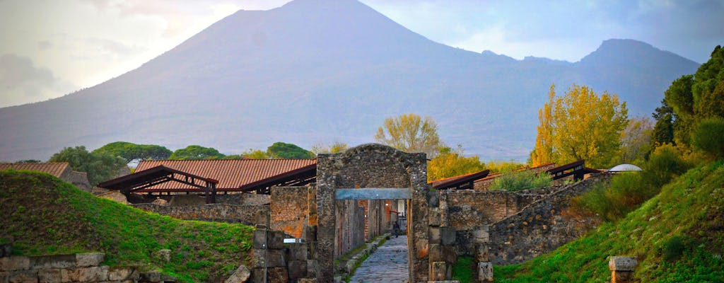 Pompeji und der Vesuv - ab Neapel