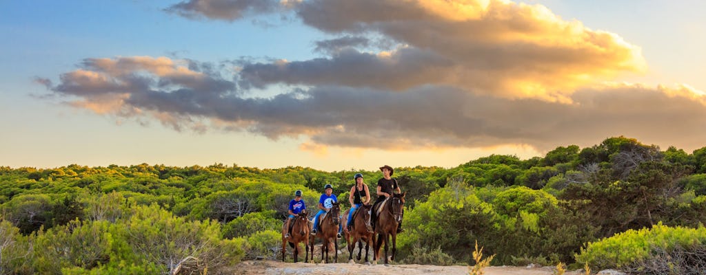 Rancho Grande Mallorca Paardrijden op het Strand