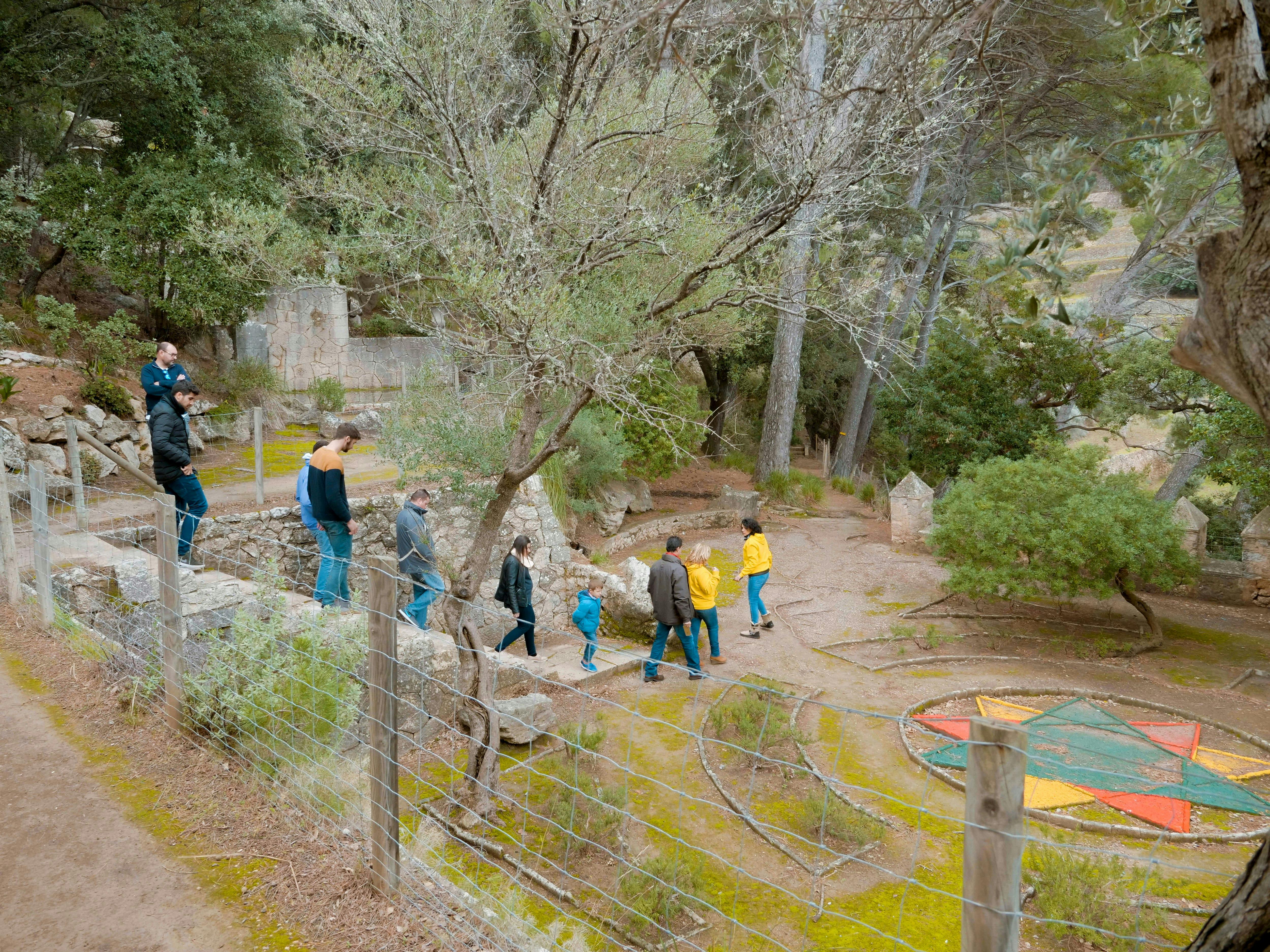 Visite des perles cachées de la Tramuntana avec Driveando