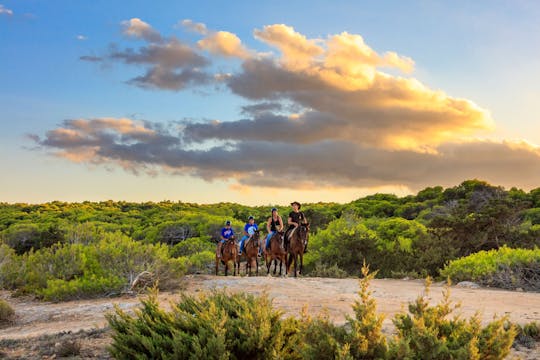 Balade à cheval de deux heures à Rancho Grande