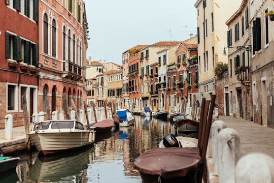 Virtual tour: The Venetian curiosities room