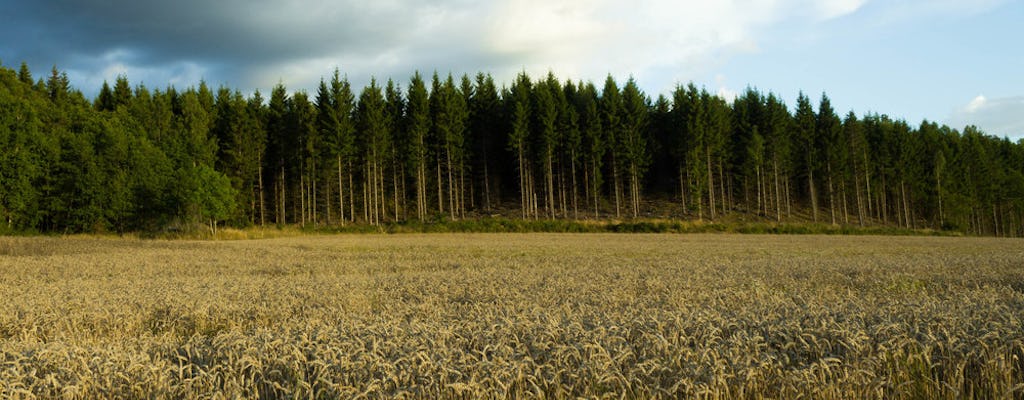 Wieczorne safari przyrodnicze ze szwedzkim posiłkiem letnim