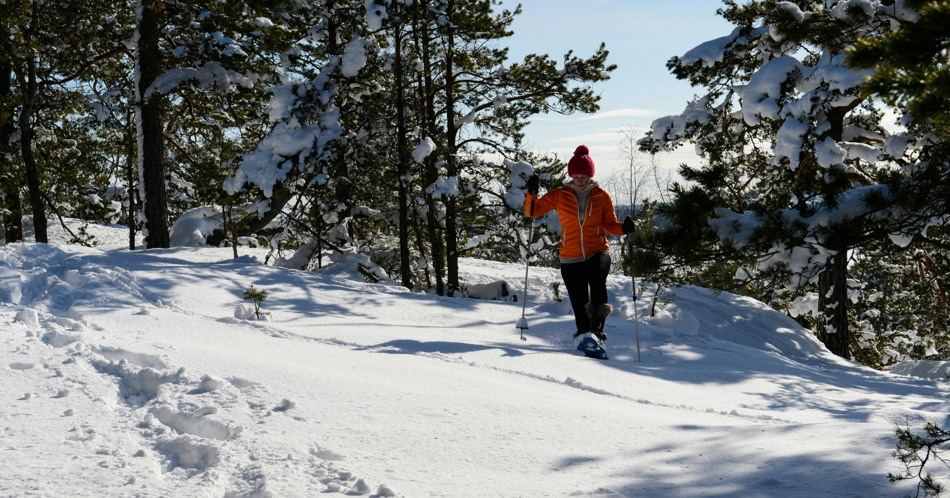 Snowshoe adventure from Stockholm