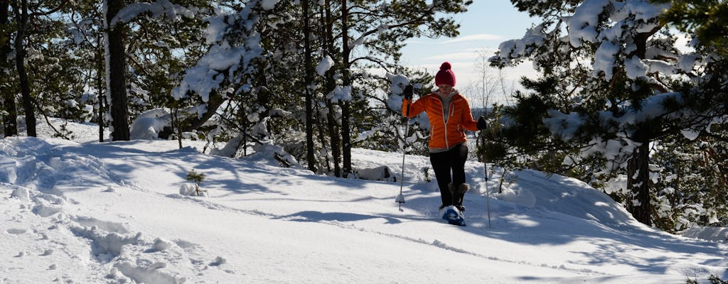 Aventura com raquetes de neve de Estocolmo