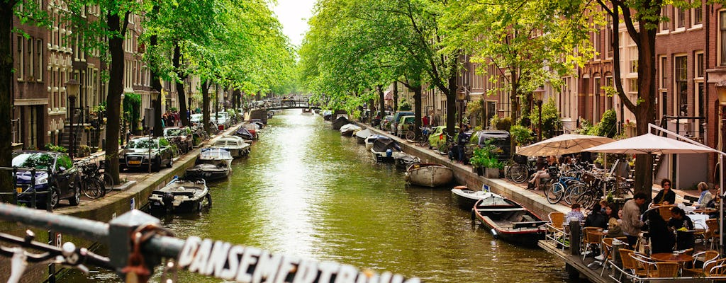 Tour virtual privado ao gabinete de curiosidades de Amsterdã