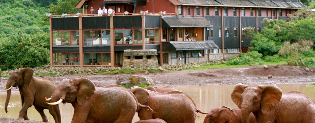 Safari di 2 giorni nel Parco nazionale di Aberdare presso l'Ark Tree Lodge