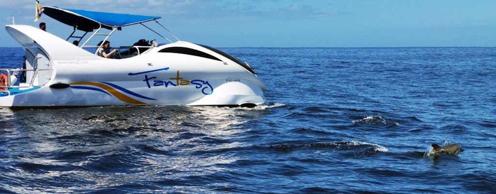 La Palma Wal- und Delfinbeobachtungstour im Schnellboot