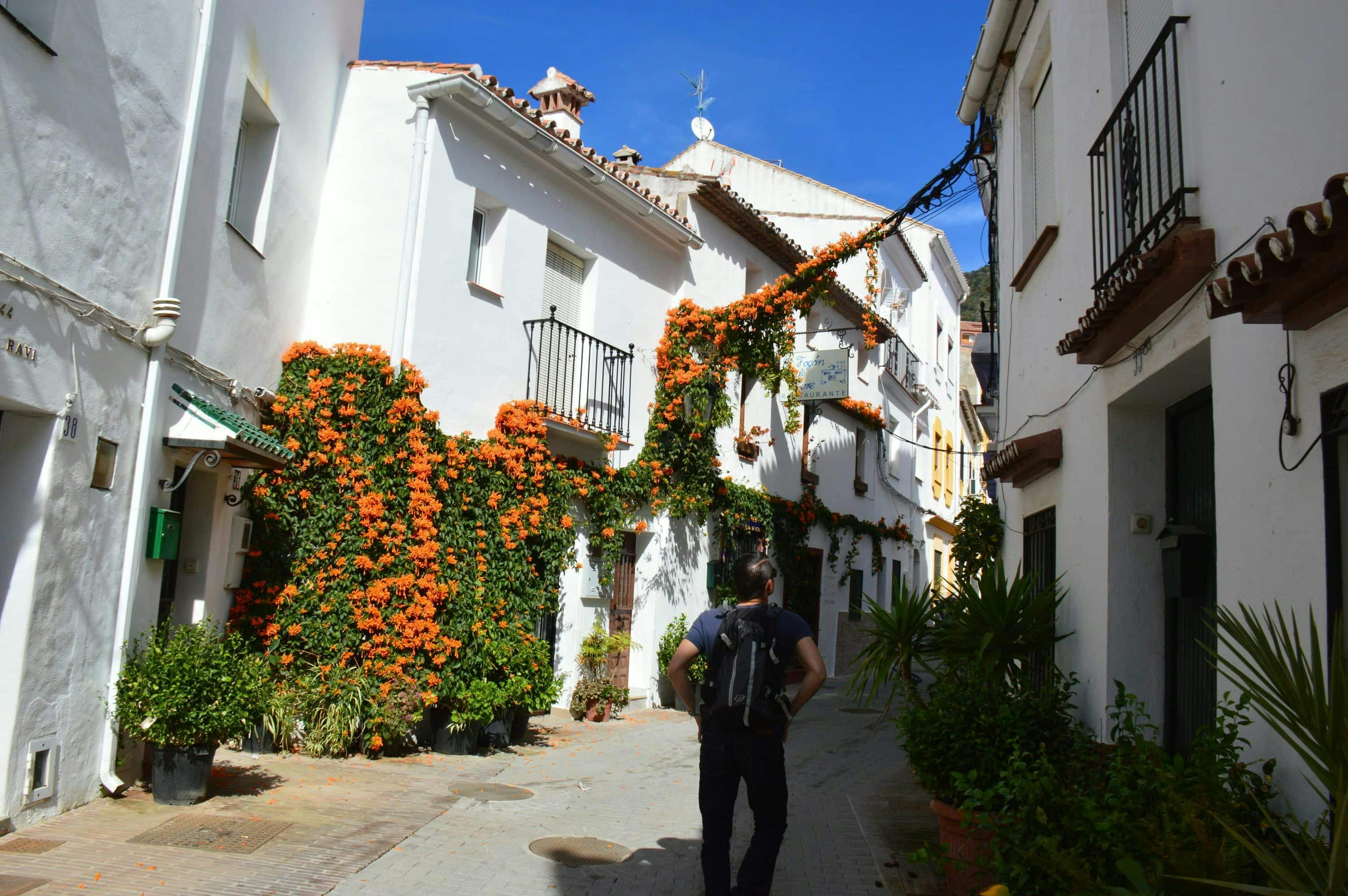 Authentic Andalucia 4x4 Tour
